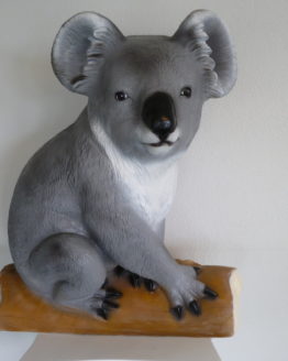 217_Koalabär_80_159